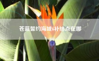苍蓝誓约海域6补给点在哪