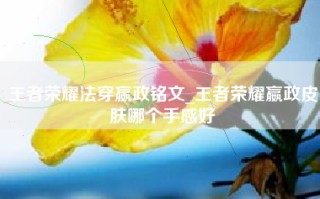 王者荣耀法穿嬴政铭文_王者荣耀嬴政皮肤哪个手感好