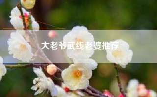 大老爷武线老婆推荐