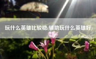 玩什么英雄比较稳(辅助玩什么英雄好)