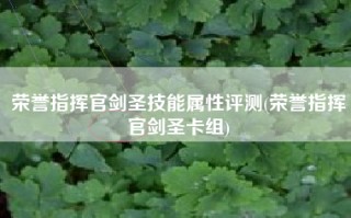 荣誉指挥官剑圣技能属性评测(荣誉指挥官剑圣卡组)