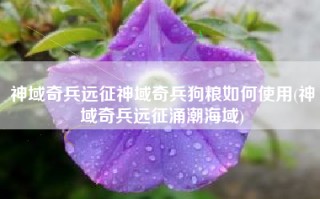 神域奇兵远征神域奇兵狗粮如何使用(神域奇兵远征涌潮海域)