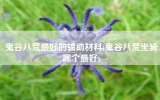 鬼谷八荒最好的辅助材料(鬼谷八荒坐骑哪个最好)