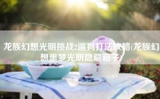 龙族幻想光明挑战2遛狗打法攻略(龙族幻想噩梦光明隐藏箱子)