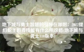 地下城与勇士智慧的引导在哪附：2022提灯蛇王剧毒技能有什么用攻略(地下城与勇士110版本)