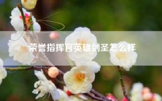 荣誉指挥官英雄剑圣怎么样