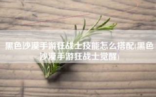 黑色沙漠手游狂战士技能怎么搭配(黑色沙漠手游狂战士觉醒)