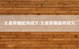 王者荣耀配肉铭文(王者荣耀最肉铭文)