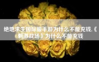绝地求生国际服手游为什么不能充钱,《刺激战场》为什么不能充钱