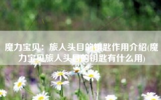 魔力宝贝：旅人头目的钥匙作用介绍(魔力宝贝旅人头目的钥匙有什么用)