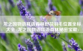 龙之国物语耳语森林野花羽毛位置坐标大全 (龙之国物语耳语森林秘密宝藏)
