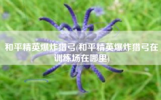 和平精英爆炸猎弓(和平精英爆炸猎弓在训练场在哪里)