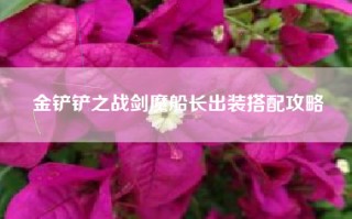 金铲铲之战剑魔船长出装搭配攻略