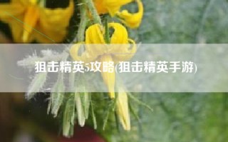 狙击精英5攻略(狙击精英手游)
