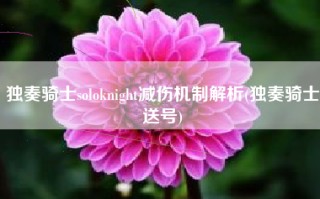 独奏骑士soloknight减伤机制解析(独奏骑士送号)
