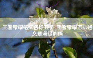 王者荣耀铭文名称五字_王者荣耀五排铭文是满级的吗