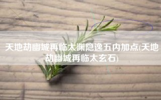 天地劫幽城再临太渊隐逸五内加点(天地劫幽城再临太玄石)