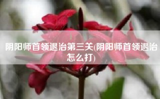 阴阳师首领退治第三关(阴阳师首领退治怎么打)
