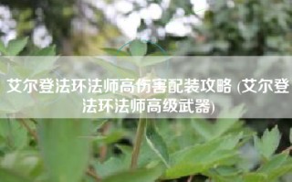 艾尔登法环法师高伤害配装攻略 (艾尔登法环法师高级武器)