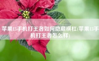 苹果13手机打王者如何隐藏横杠(苹果13手机打王者怎么样)