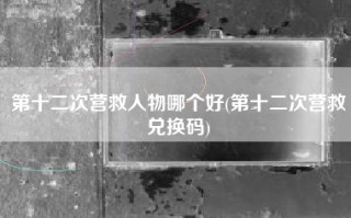 第十二次营救人物哪个好(第十二次营救兑换码)