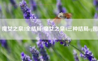 魔女之泉3全结局(魔女之泉4三种结局cg图)