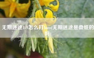 无期迷途1-9怎么打boss(无期迷途是叠纸的吗)