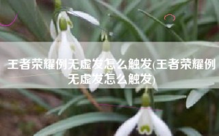 王者荣耀例无虚发怎么触发(王者荣耀例无虚发怎么触发)