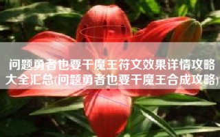 问题勇者也要干魔王符文效果详情攻略大全汇总(问题勇者也要干魔王合成攻略)