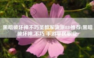 黑暗破坏神不巧圣教军流派BD推荐(黑暗破坏神 不巧 手游平民职业)