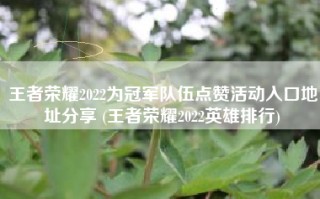 王者荣耀2022为冠军队伍点赞活动入口地址分享 (王者荣耀2022英雄排行)
