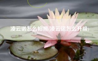 凌云诺怎么拍照(凌云诺怎么升级)