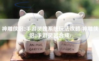 神雕侠侣2手游灵魄系统玩法攻略(神雕侠侣2手游灵器合成)