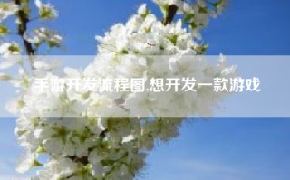 手游开发流程图,想开发一款游戏