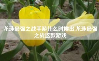 龙珠最强之战手游什么时候出,龙珠最强之战这款游戏