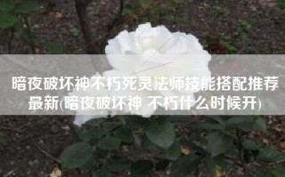 暗夜破坏神不朽死灵法师技能搭配推荐最新(暗夜破坏神 不朽什么时候开)