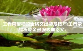 王者荣耀程咬金铭文出装及技巧(王者荣耀程咬金最强吸血铭文)