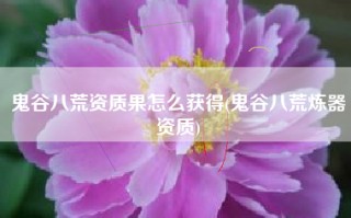 鬼谷八荒资质果怎么获得(鬼谷八荒炼器资质)