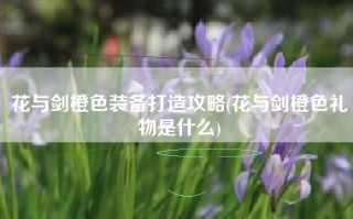 花与剑橙色装备打造攻略(花与剑橙色礼物是什么)