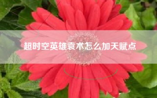 超时空英雄袁术怎么加天赋点