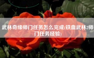 武林奇缘师门任务怎么完成(铁血武林2师门任务经验)
