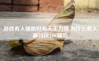 游戏有人辅助好有人主力棒,为什么有人最讨厌ADC辅助