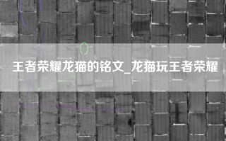 王者荣耀龙猫的铭文_龙猫玩王者荣耀