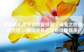黎明杀机逃生者技能搭配（闹鬼之地技能介绍）(黎明杀机逃生者技能传承)