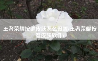 王者荣耀按键皮肤怎么设置(王者荣耀按键皮肤软件)