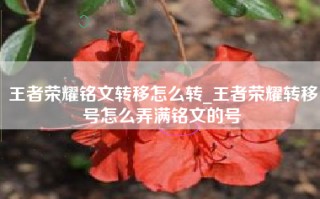 王者荣耀铭文转移怎么转_王者荣耀转移号怎么弄满铭文的号