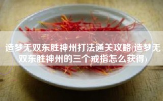 造梦无双东胜神州打法通关攻略(造梦无双东胜神州的三个戒指怎么获得)