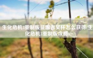 生化危机3重制版征服者奖杯怎么获得(生化危机3重制版攻略)