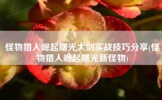 怪物猎人崛起曙光大剑实战技巧分享(怪物猎人崛起曙光新怪物)