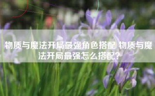 物质与魔法开局最强角色搭配 物质与魔法开局最强怎么搭配？
